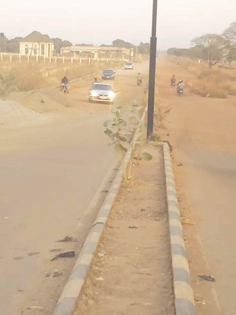 One of the abandoned roads