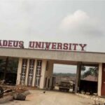 Amadeus University