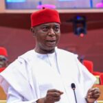 Senator Ned Nwoko