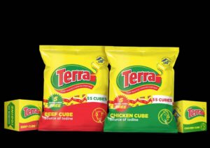 Terra-Seasoning-Cube-1-1