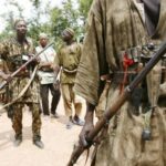 Armed herders kill five hunters in fresh Benue attack
