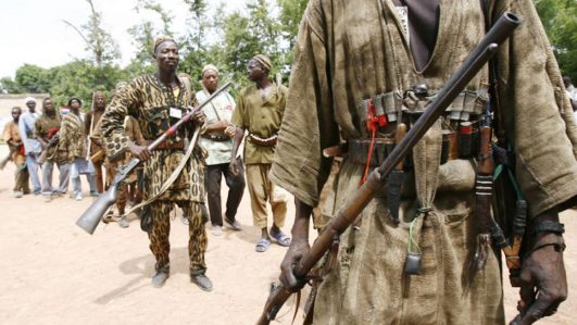 Armed herders kill five hunters in fresh Benue attack