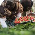 food insecurity