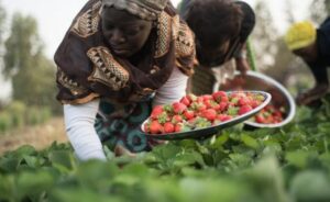 food insecurity