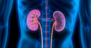 kidneys
