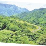 land