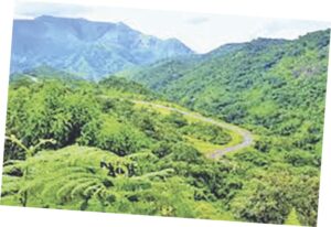 land