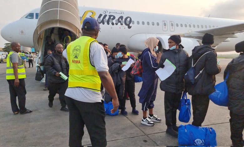 3,000 Nigerians return from Chad under FG repatriation plan