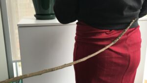 Flogging