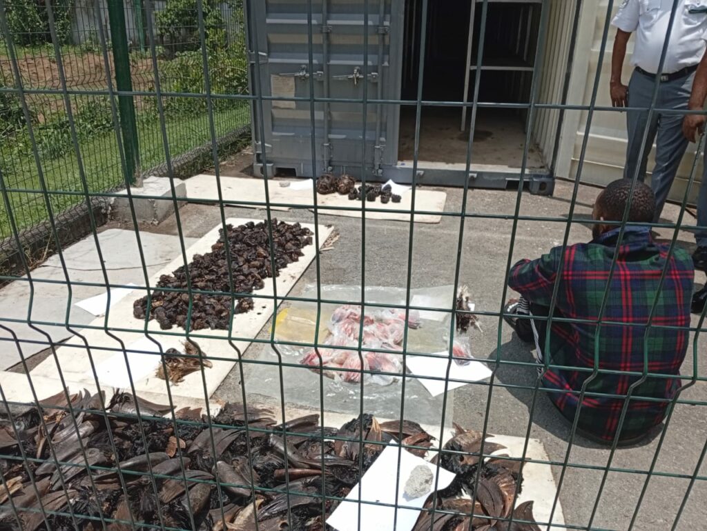 Wildlife trafficker caught with bird heads, chimpanzee parts in Cross River