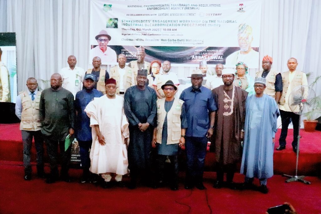 Nigeria aims for net zero emissions by 2060 with NDP launch