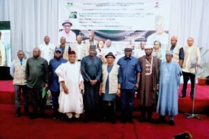 Nigeria aims for net zero emissions by 2060 with NDP launch