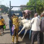 Anti-open-grazing1-1024×575