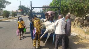 Anti-open-grazing1-1024×575