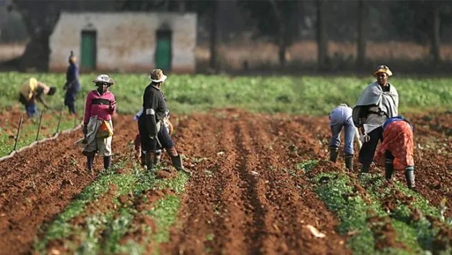 Farmer