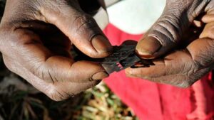 Female-Genital-Mutilation