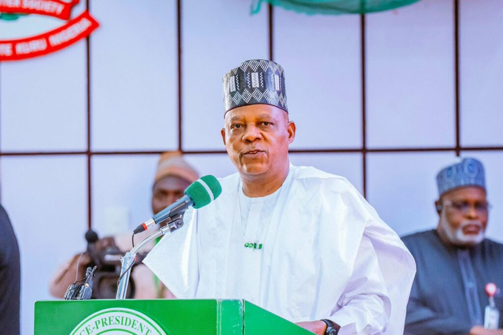 Vice President Kashim Shettima