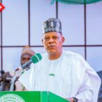 Vice President Kashim Shettima