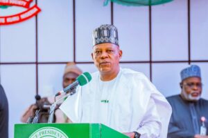 Vice President Kashim Shettima