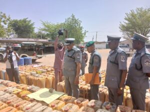 Customs boosts revenue with ₦51.9m seizures in Adamawa