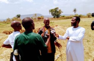 VCDP-Farmers-Reap-Bumper-Dry-Season-Rice-Harvest-in-Kogi-2