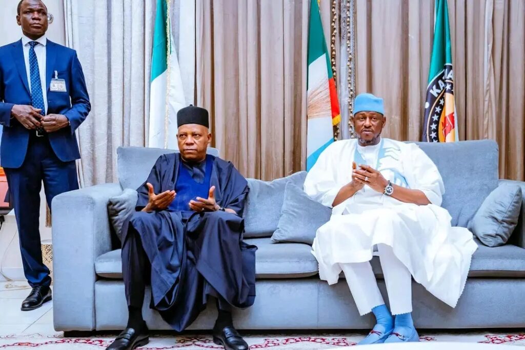 Vice President Kashim Shettima