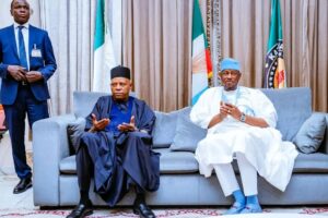Vice President Kashim Shettima