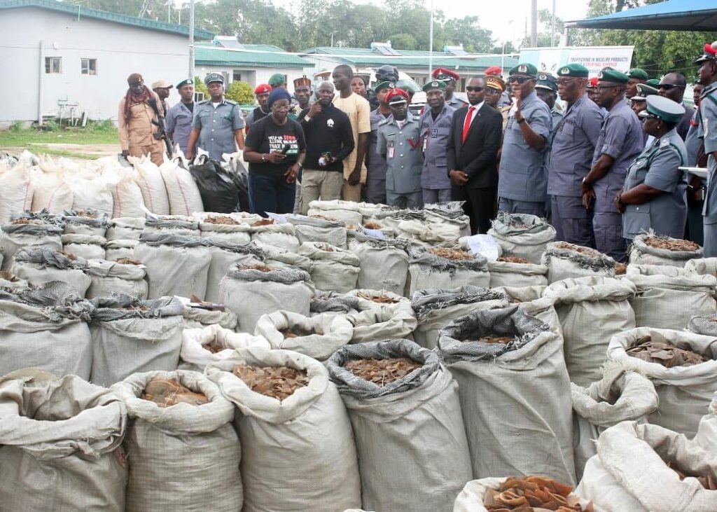 Customs nabs Chinese wildlife trafficker with 9,493kg of pangolin