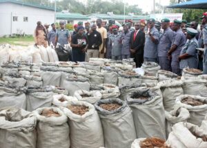 Customs nabs Chinese wildlife trafficker with 9,493kg of pangolin