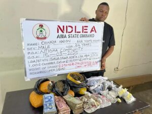 NDLEA arrest