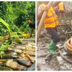 Oil theft: Troops arrest 39 suspects, dismantle 18 bunkering sites