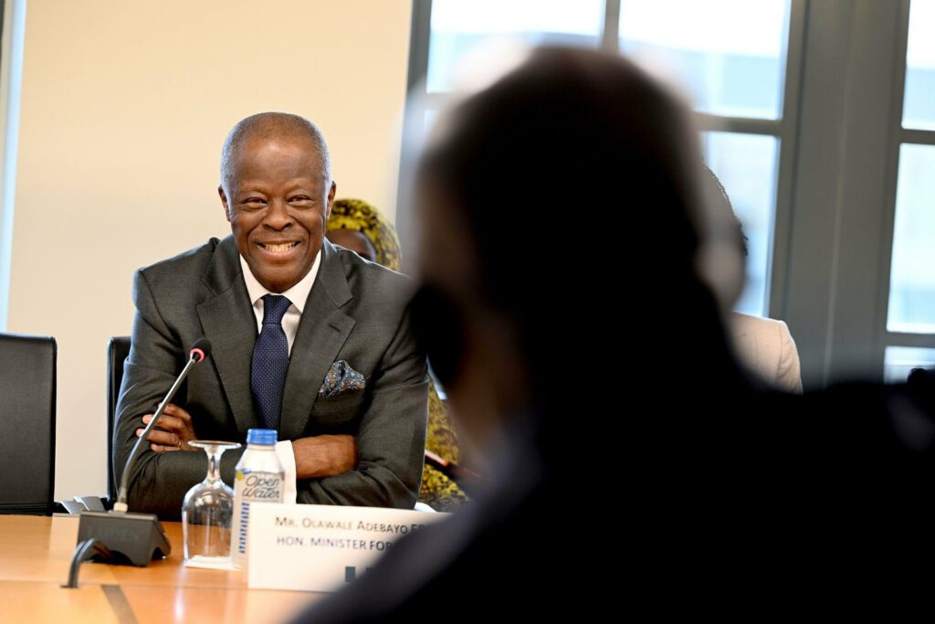 Minister of Finance and Coordinating Minister of the Economy Wale Edun