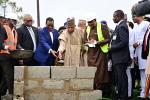 Shettima flags off construction of Cross River SAPZ