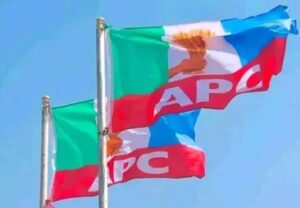 APC flag