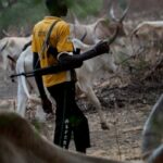 Armed herdsmen