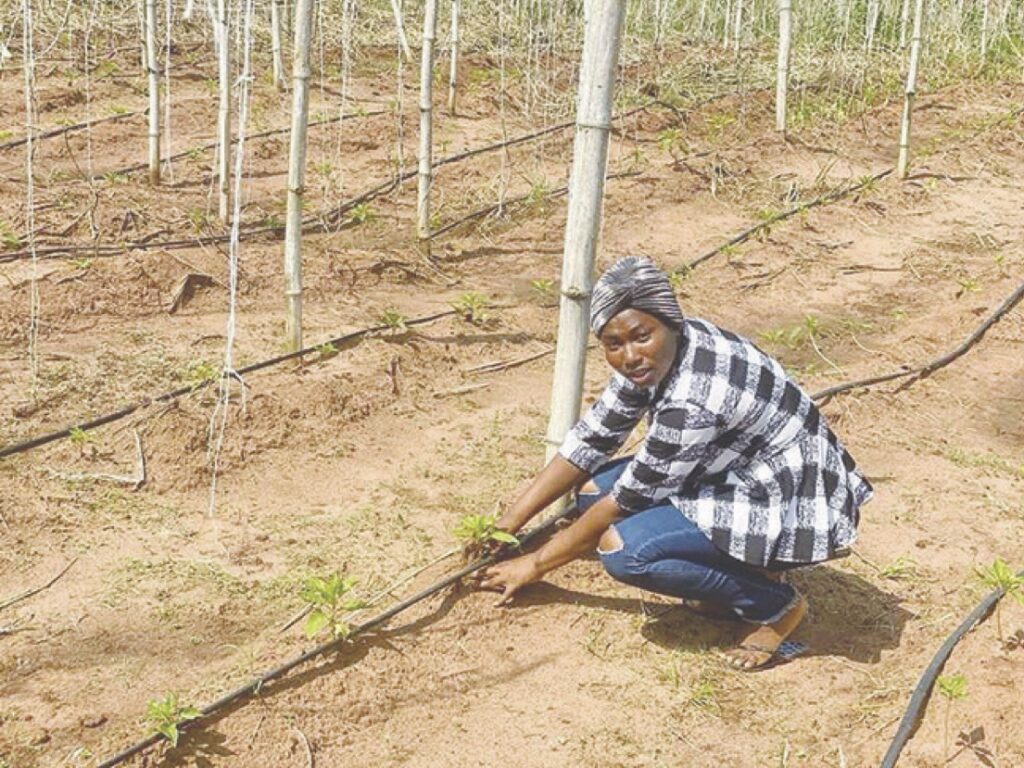 Boluwatife on working on the farm