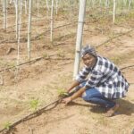 Boluwatife on working on the farm