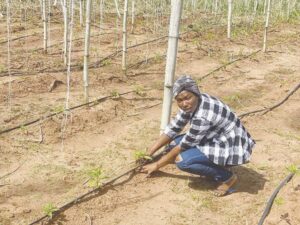 Boluwatife on working on the farm