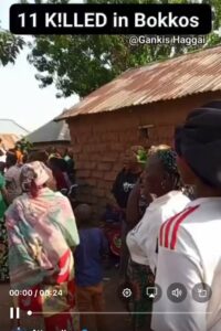 Plateau: Gunmen kill 10 in fresh Bokkos attack