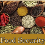 FOOD-SECURITY
