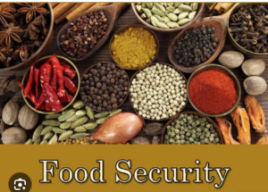 FOOD-SECURITY