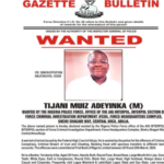 Muiz Tijani Adeyinka