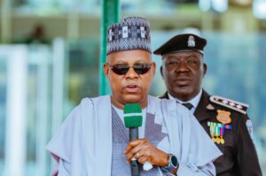 Vice President Kashim Shettima