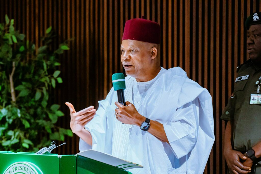 Vice President Kashim Shettima