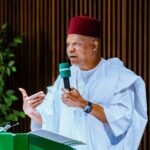 Vice President Kashim Shettima