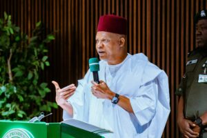 Vice President Kashim Shettima