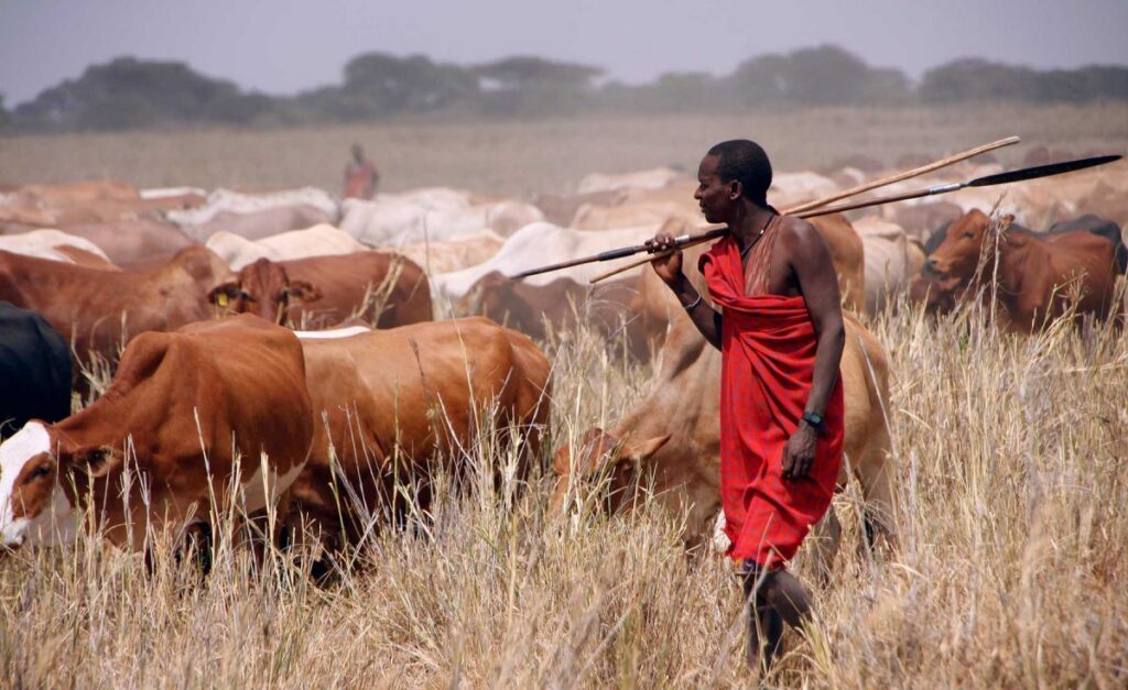 Herders