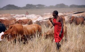 Herders
