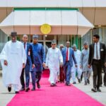 Vice President Kashim Shettima