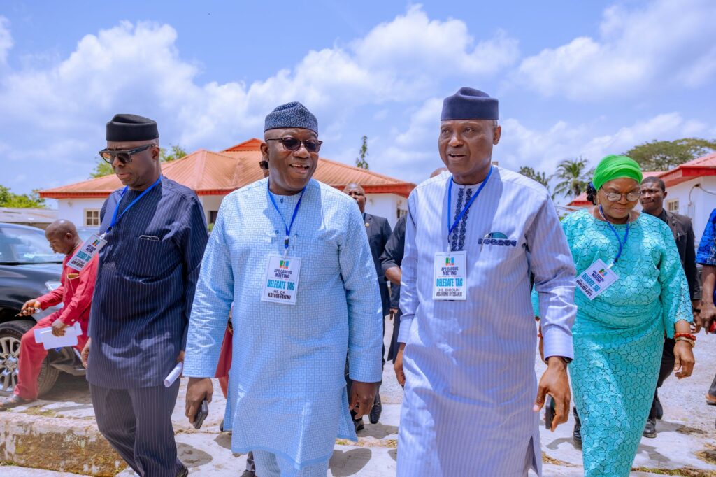 Dr Kayode Fayemi and Governor Biodun Oyebanji
